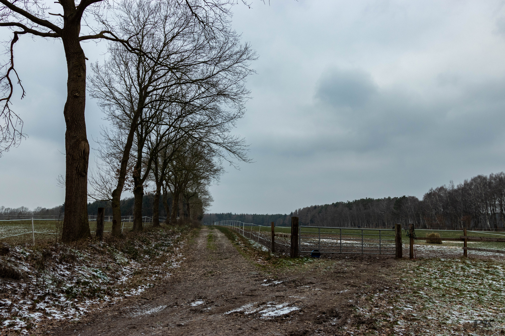 Winter auf dem flachen Land.