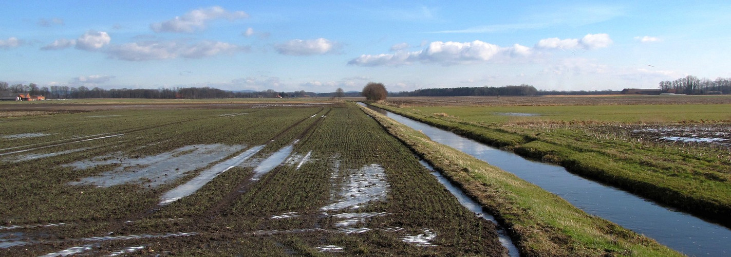 Winter auf dem flachen Land