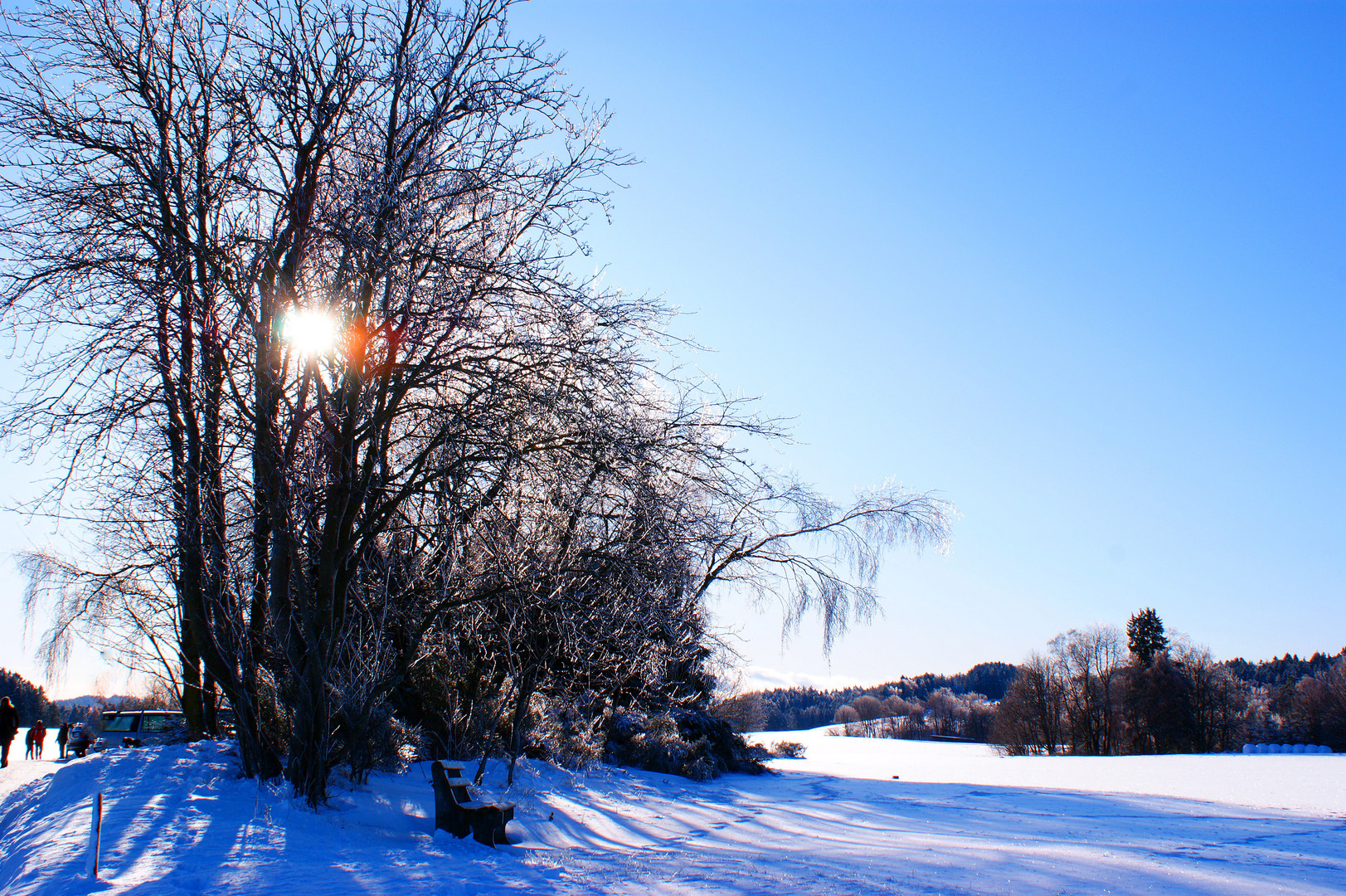 Winter auf dem Fohrenbühl