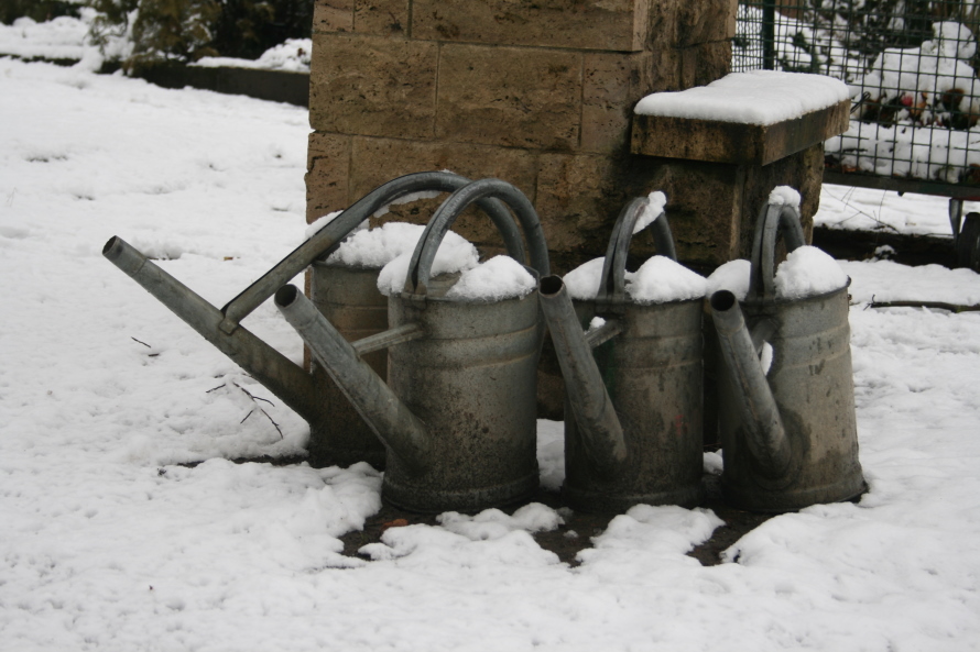 winter auf dem friedhof