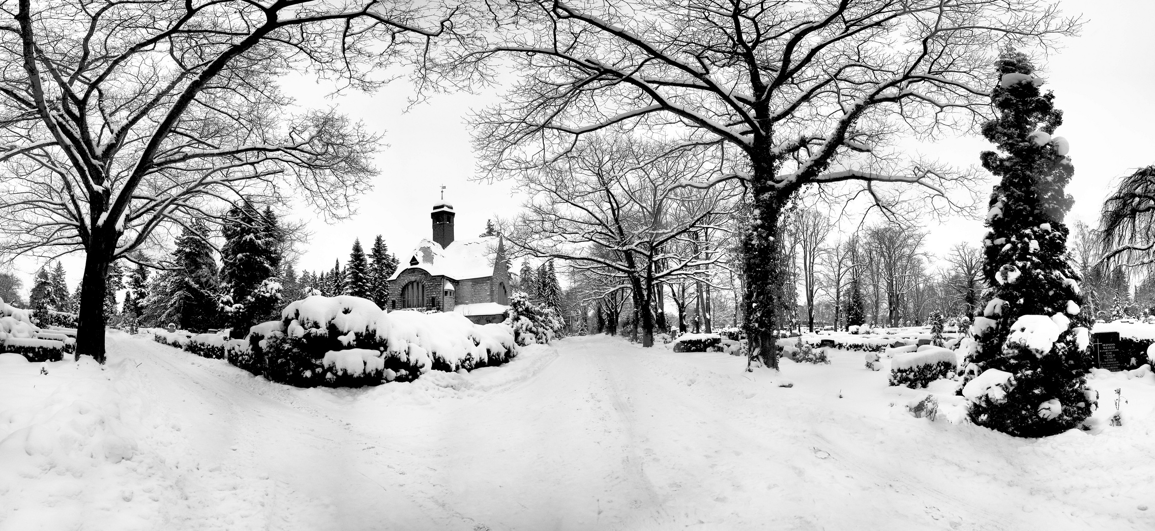 Winter auf dem Friedhof von Wolfenbüttel - Panorama in Schwarzweiß