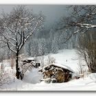 Winter auf dem Gaisberg