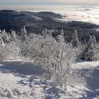 Winter auf dem großen Arber 201 ..Bild 2 und 3