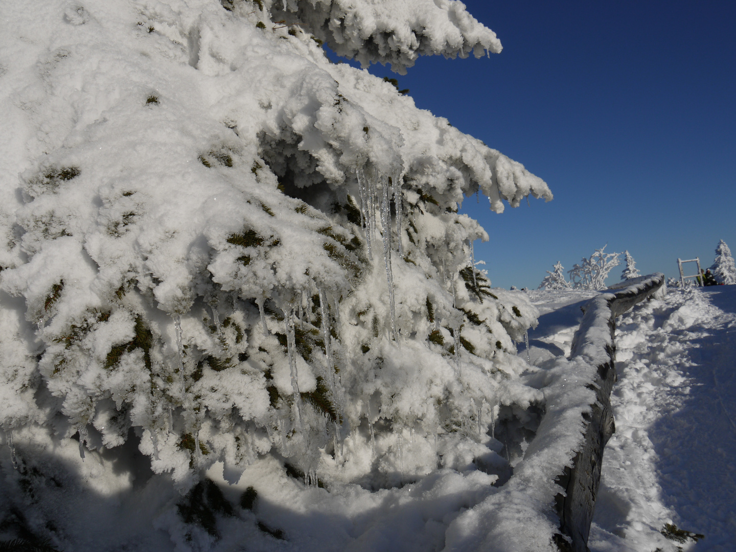 Winter auf dem großen Arber 2010