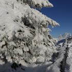 Winter auf dem großen Arber 2010