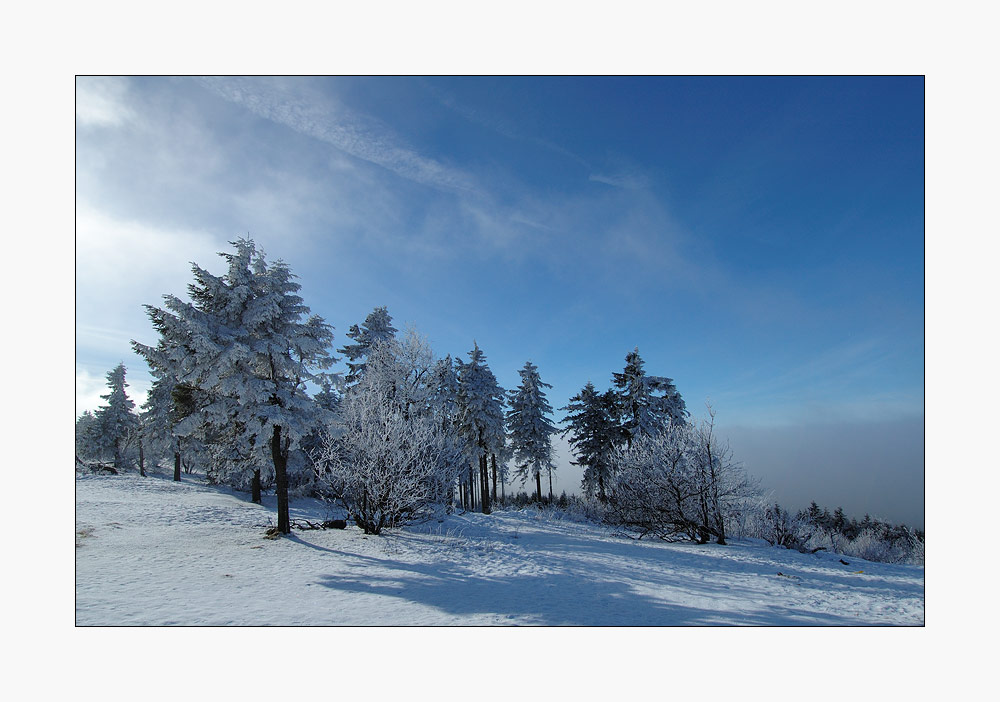 Winter auf dem Großen Feldberg