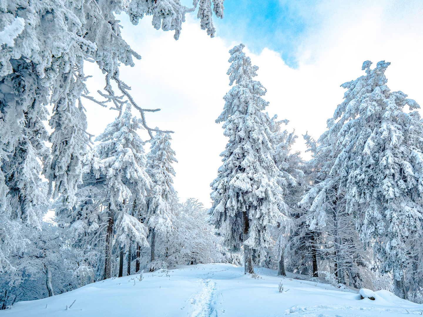 Winter auf dem Großen Inselsberg