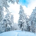 Winter auf dem Großen Inselsberg