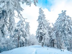 Winter auf dem Großen Inselsberg