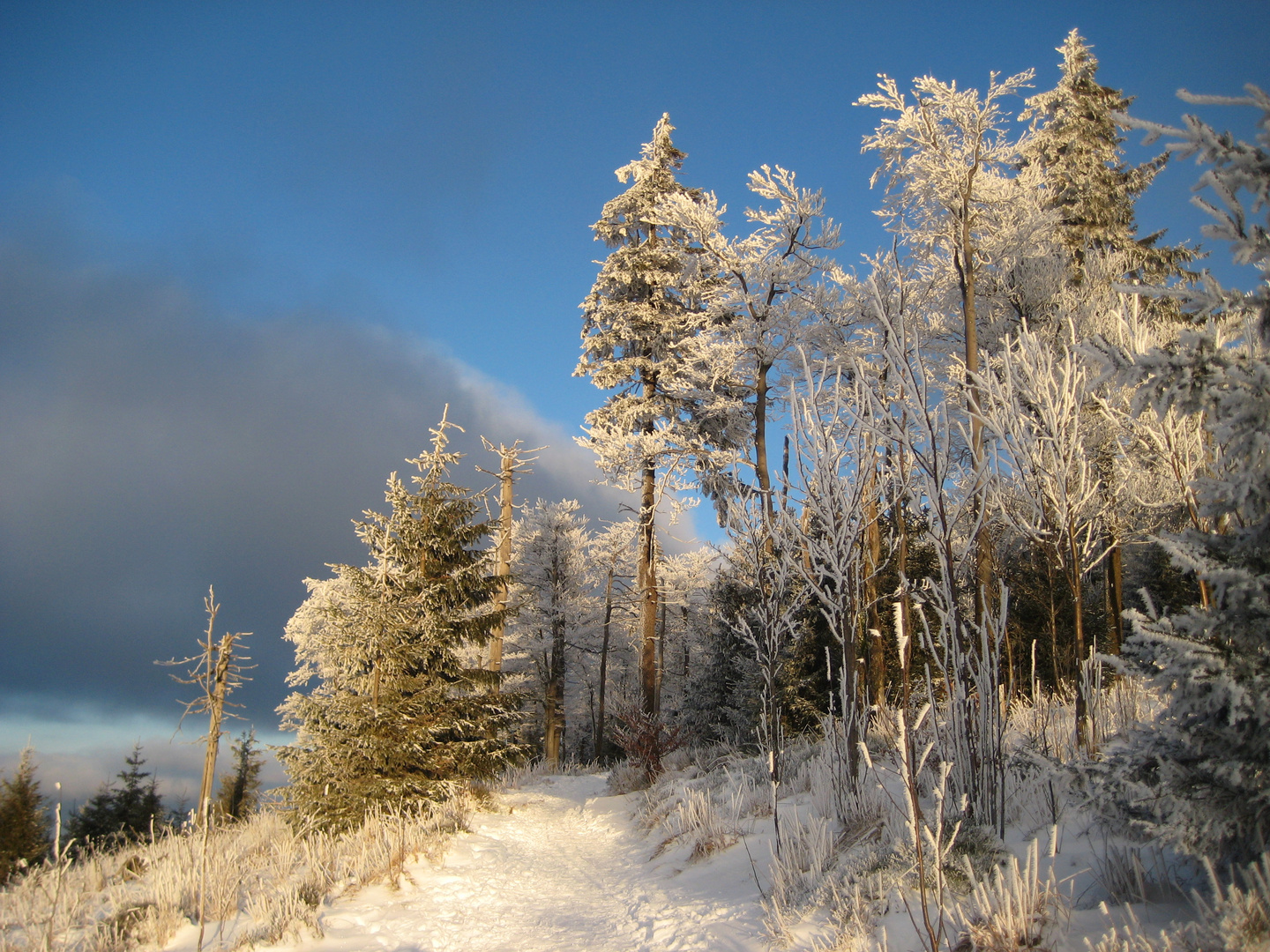 ***Winter auf dem Großen Inselsberg***