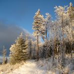 ***Winter auf dem Großen Inselsberg***