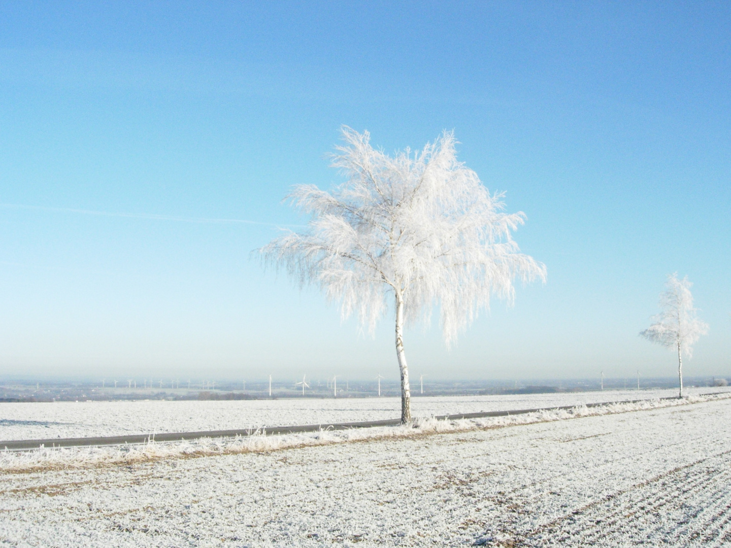 Winter auf dem Haarstrang