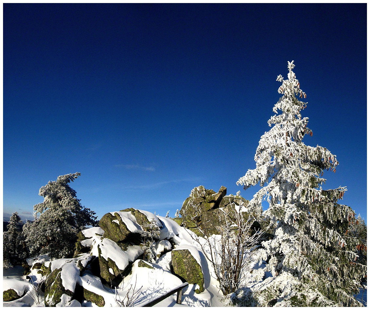 Winter auf dem Haberstein