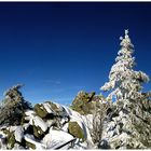 Winter auf dem Haberstein