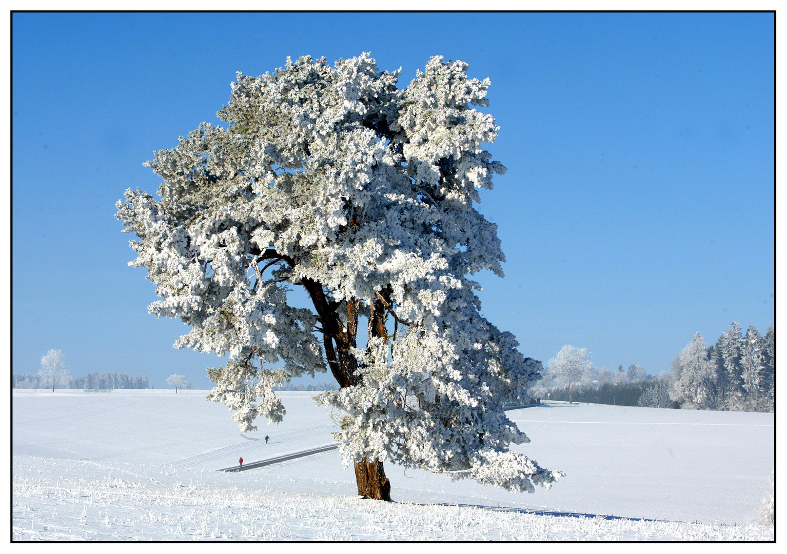 Winter auf dem Heuberg 2010