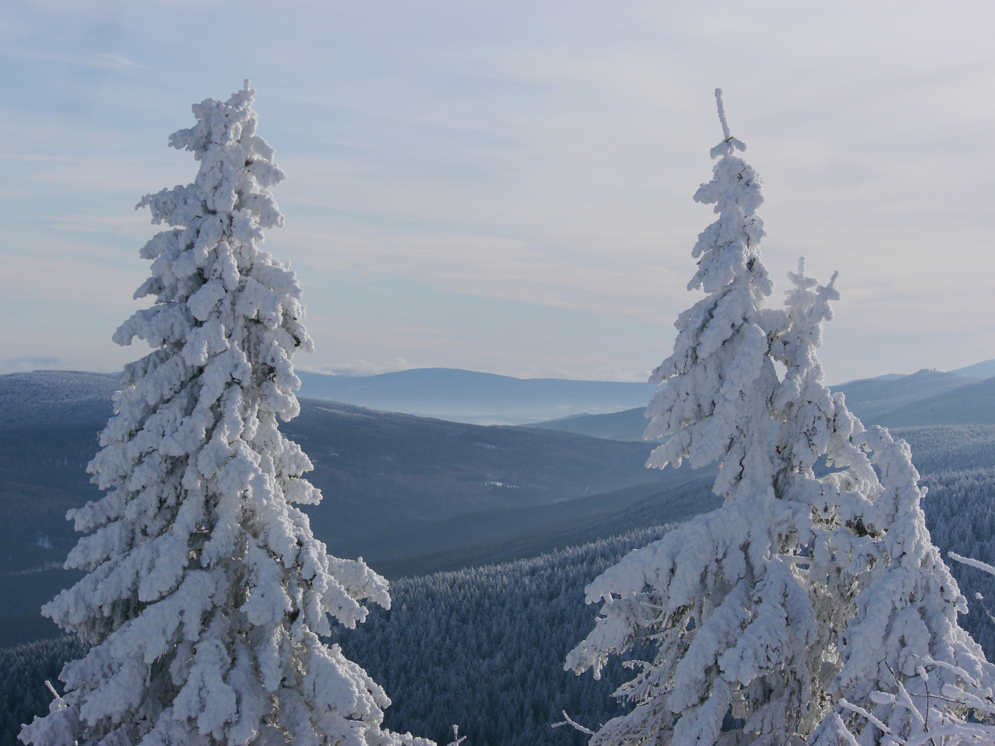 Winter auf dem Heufuder-Berg in Niederschlesien