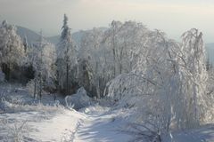 Winter auf dem Hochblauen