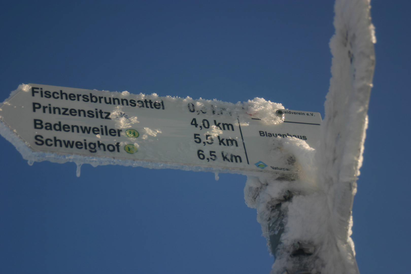 Winter auf dem Hochblauen