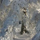 Winter auf dem Hochblauen im Schwarzwald