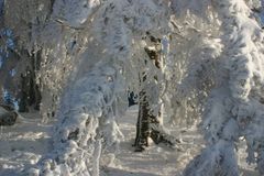 Winter auf dem Hochblauen im Schwarzwald