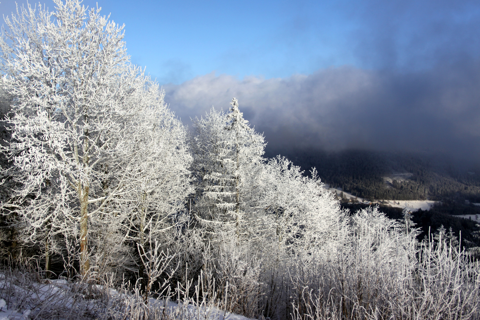 Winter auf dem Hochblauen, Ostseite