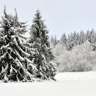 Winter auf dem Hohen Meißner