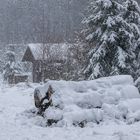 Winter auf dem Hunsrück