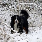 ...Winter auf dem Jägerhaus