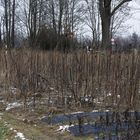 Winter auf dem Jägerhaus