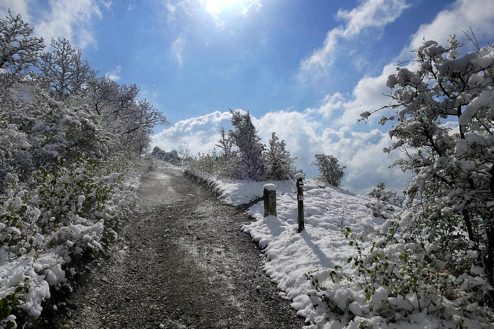 Winter auf dem Jenzig