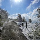 Winter auf dem Jenzig