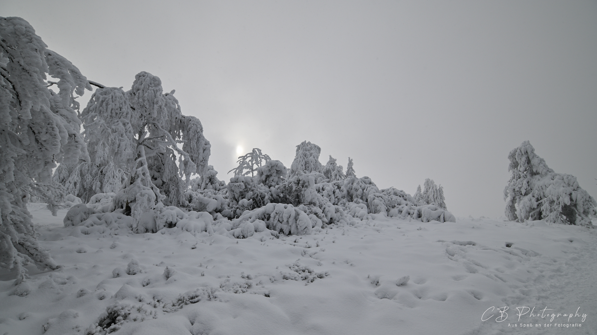 Winter auf dem Kahlen Asten