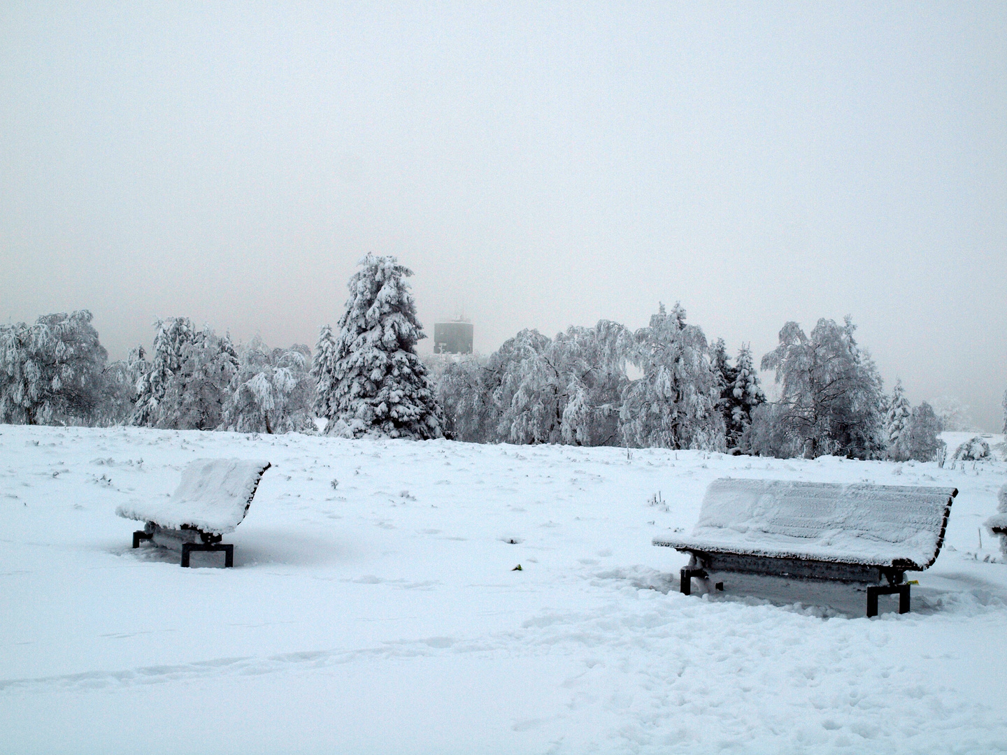 Winter auf dem Kahlen Asten