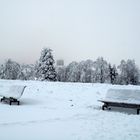 Winter auf dem Kahlen Asten