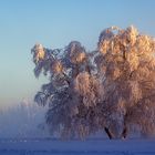 Winter auf dem Kahlen Asten