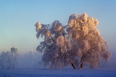 Winter auf dem Kahlen Asten