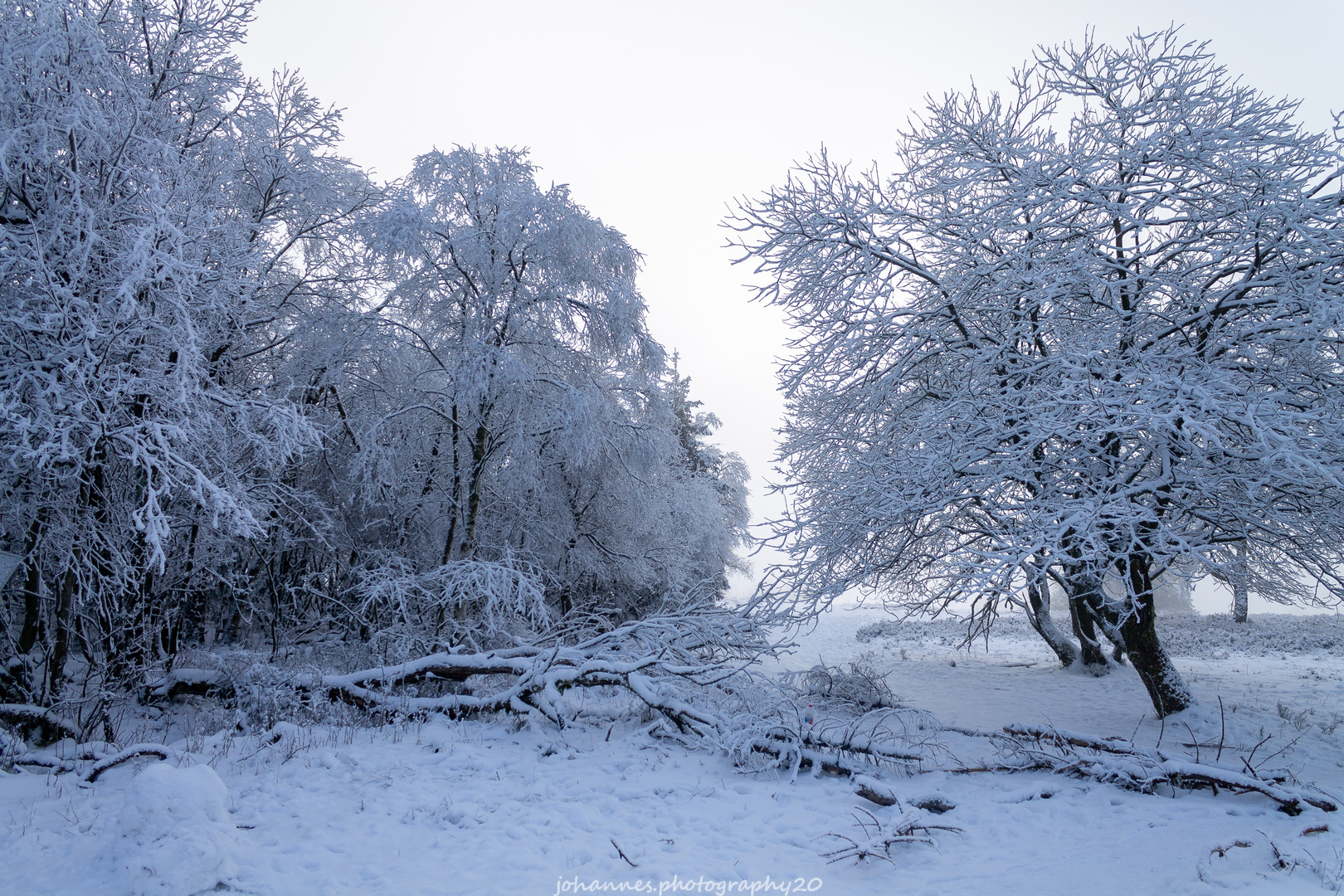 Winter auf dem Kahlen Asten