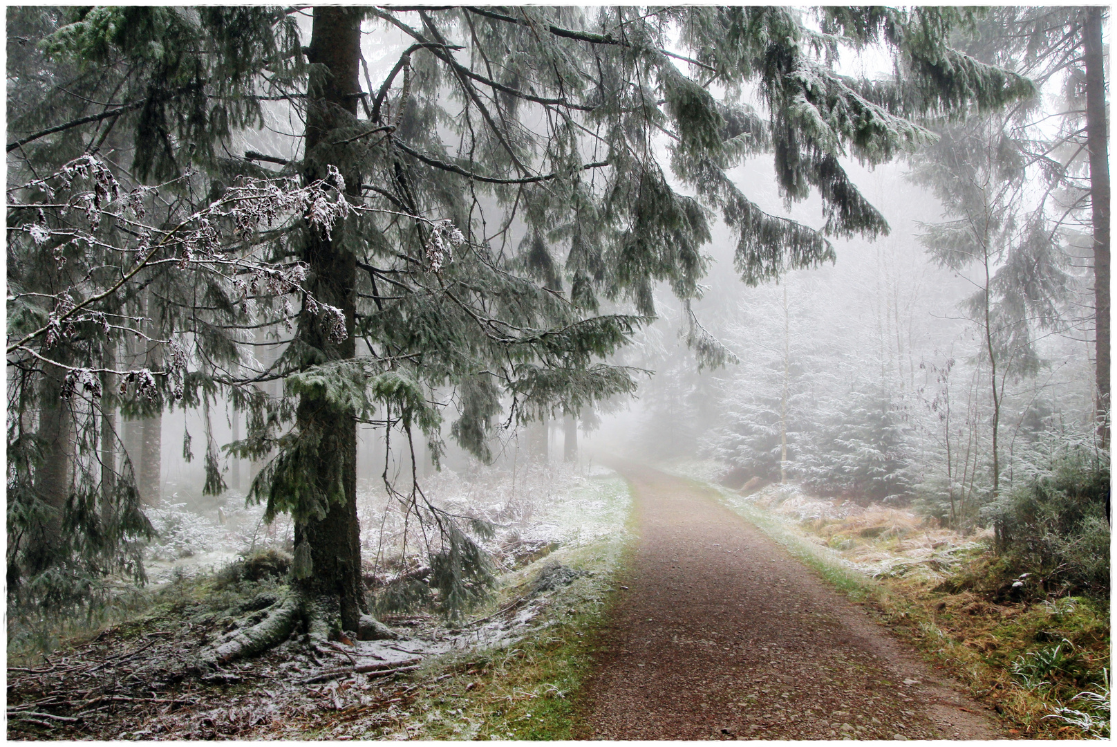 Winter auf dem Kniebis