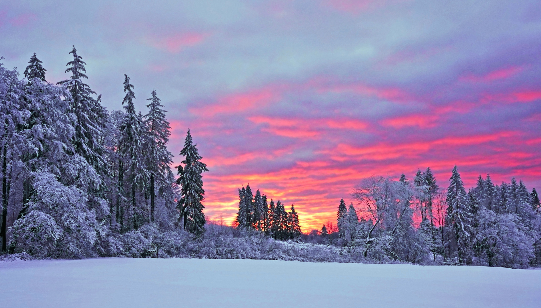 Winter auf dem Knüll 