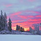 Winter auf dem Knüll 