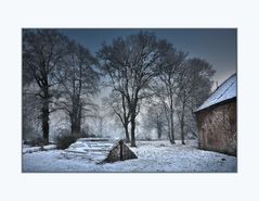 Winter auf dem Kühkopf