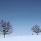 Winter auf dem Land