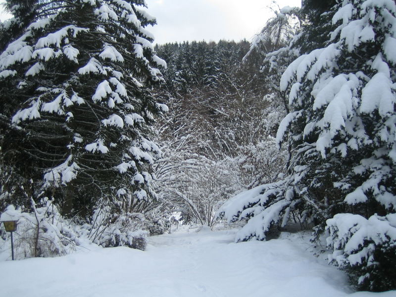 Winter auf dem Land