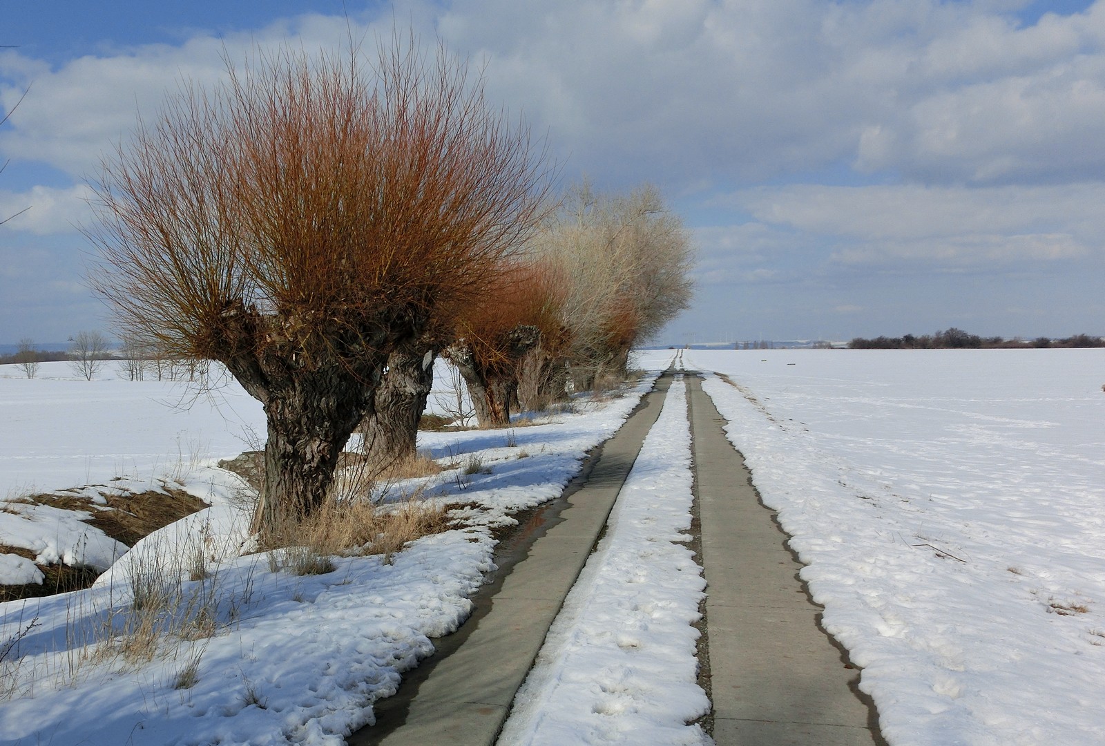 Winter auf dem Lande