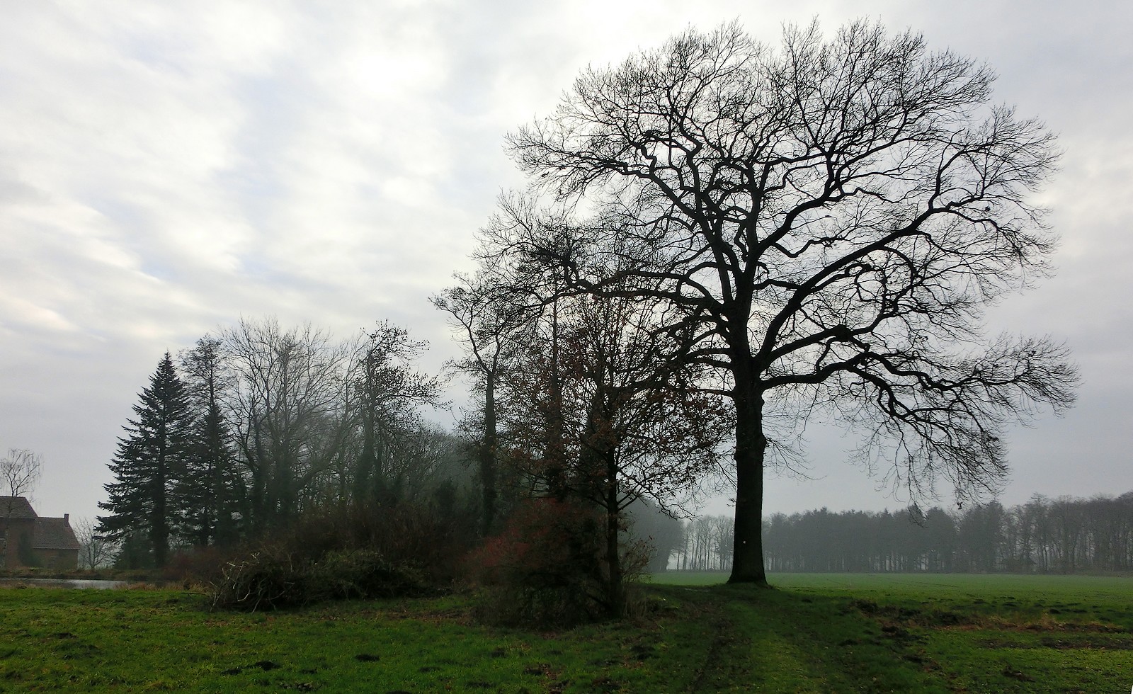 Winter auf dem Lande