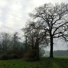 Winter auf dem Lande