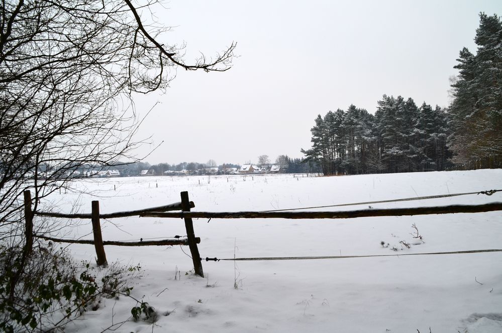 Winter auf dem Lande...