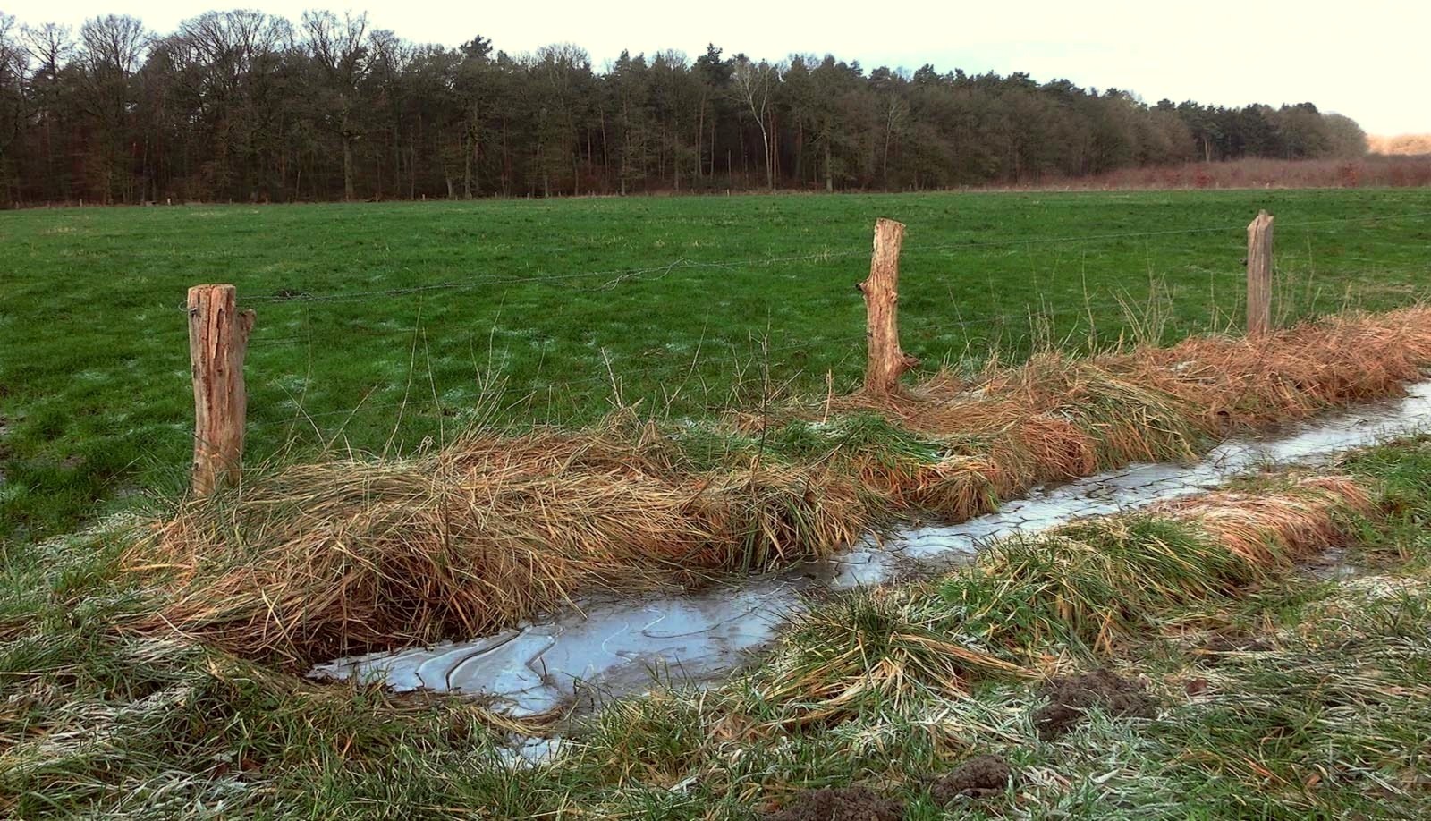 Winter auf dem Lande