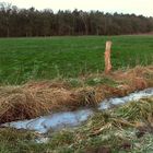 Winter auf dem Lande