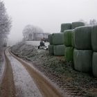 Winter auf dem Lande.